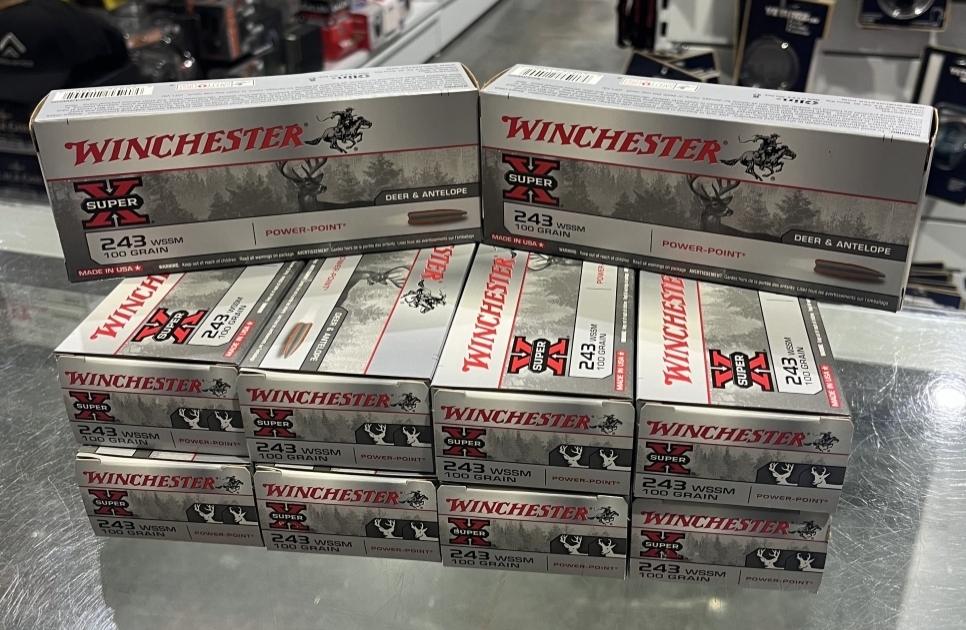 WINCHESTER 243WSSM 100GR