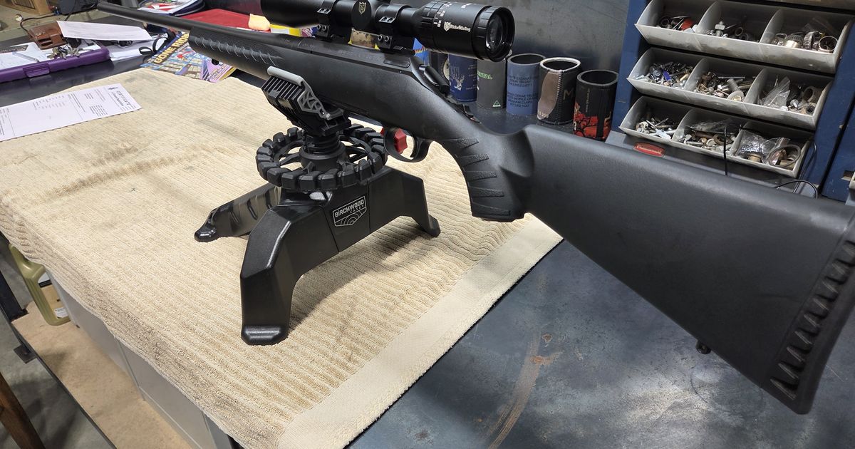 Ruger 223