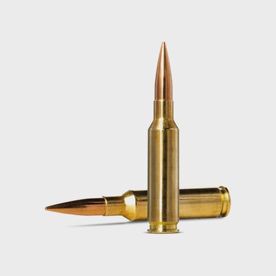 Norma Golden Target 223REM