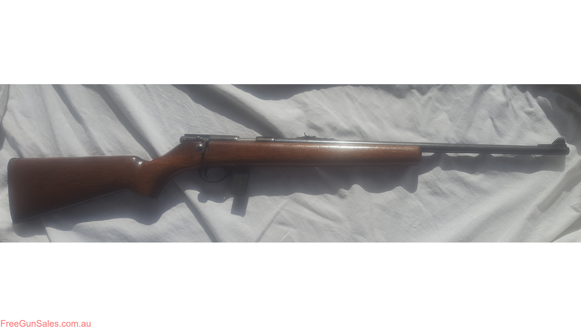 .22 Long Rifle Badger Creek