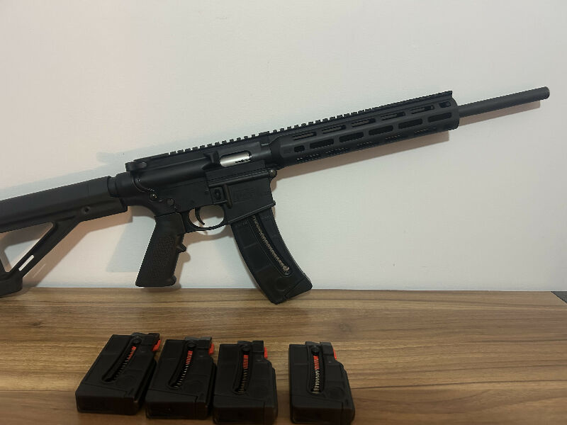 Smith & Wesson m&p 15-22.