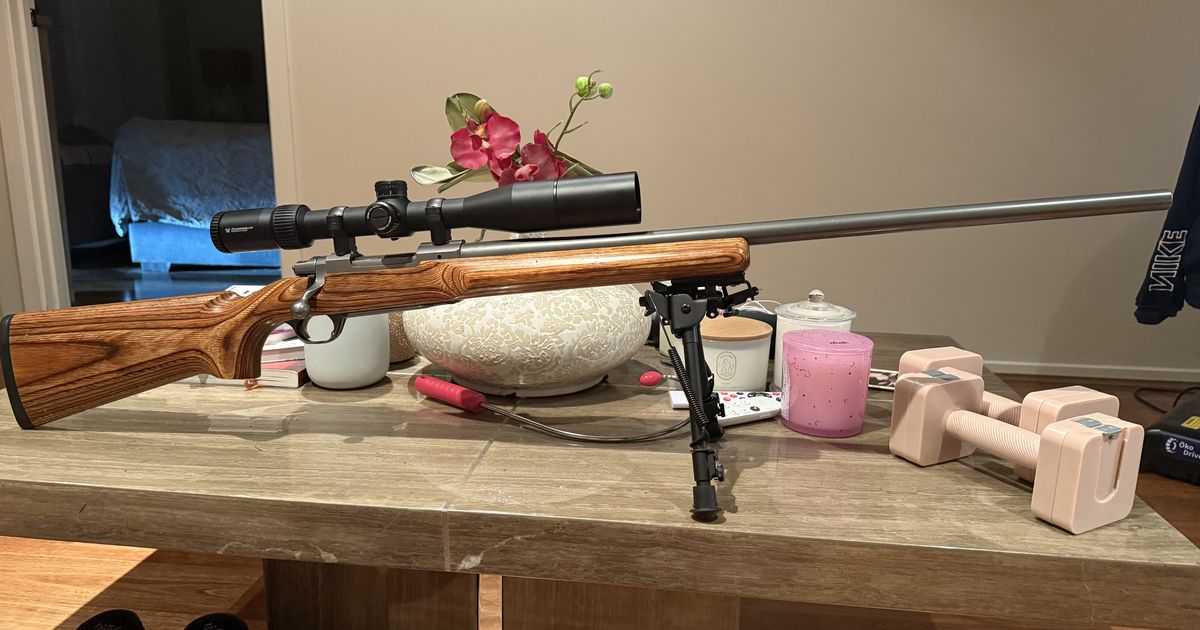 Ruger 22.250