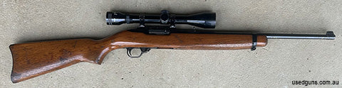 Ruger 10/22, Tasco 6x40 and 1 mag. stock has bumps and bruises, bluing beginning to wear thin on top and rear of barrel and has scratches at front sight and bar