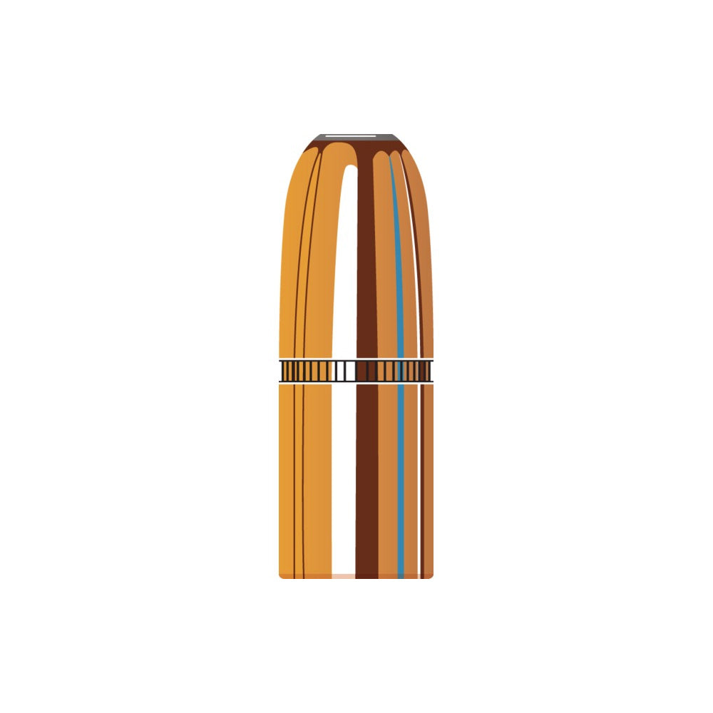 45 Cal (.458 Diameter) Dgx Bonded 480gr Projectiles