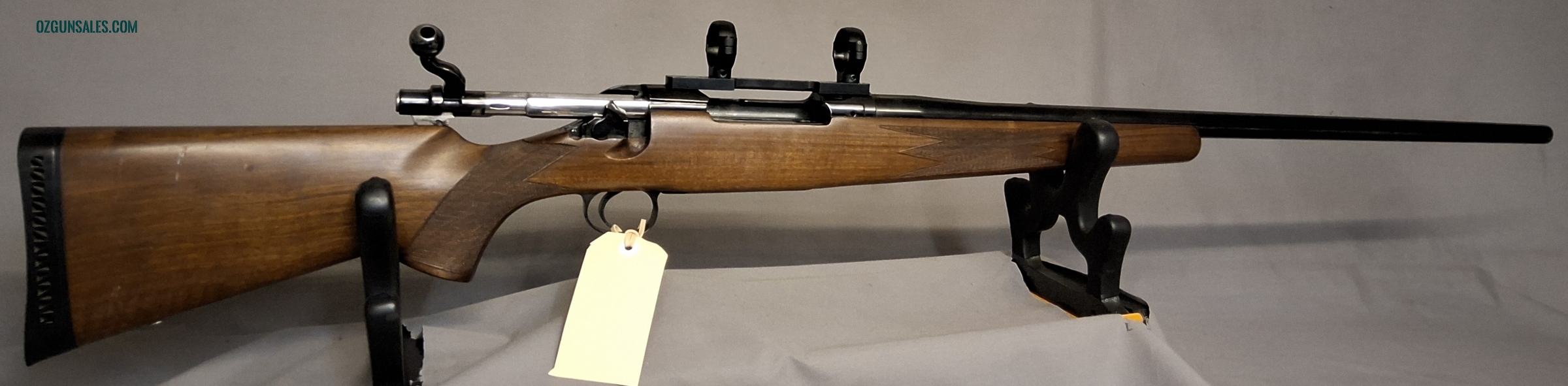 Remington P17 .300win