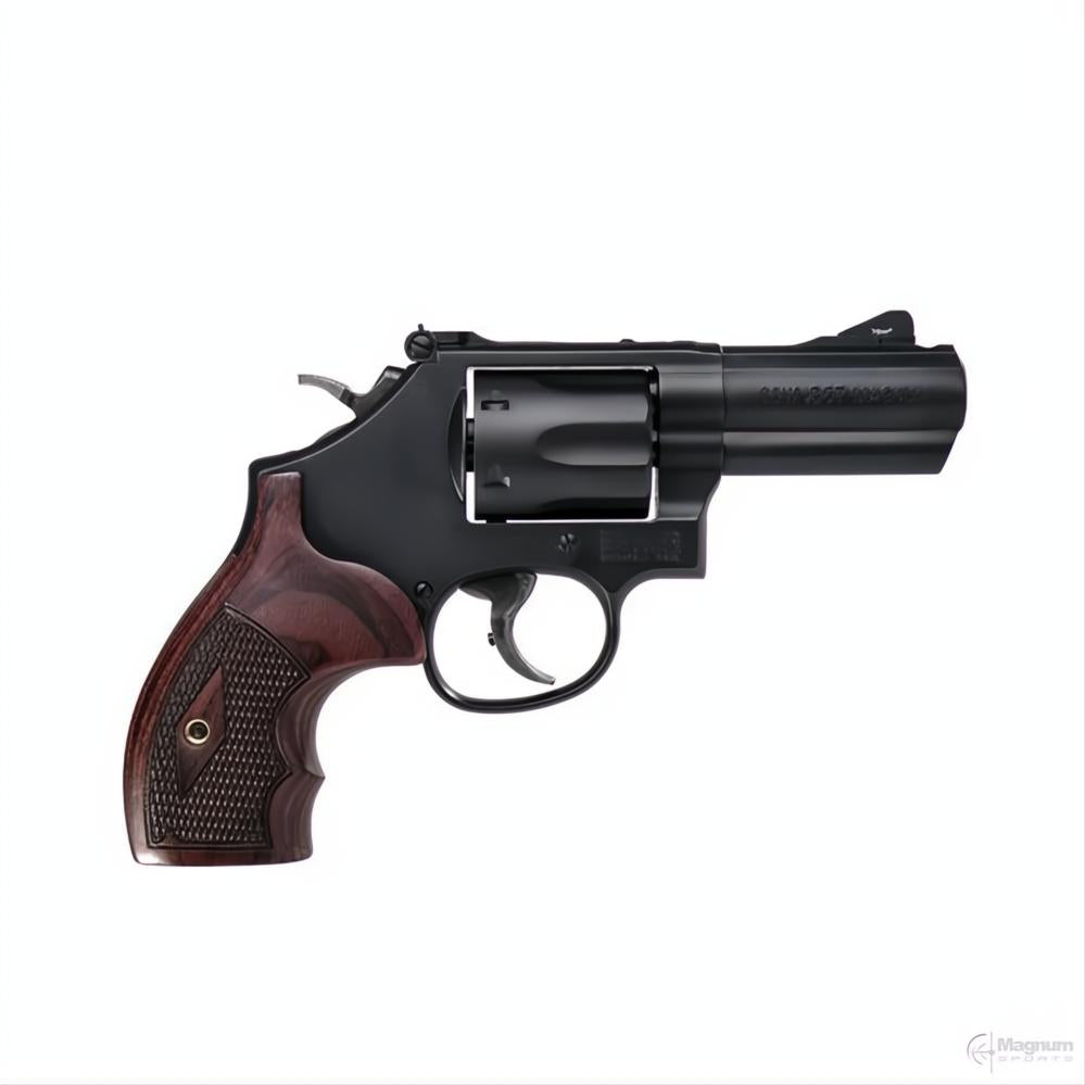 Smith & Wesson Model 19 Carry Comp