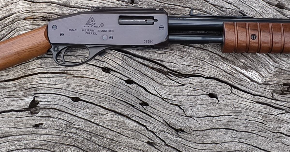 IMI (ISRAEL MILITARY INDUSTRIES) ACTION ARMS LTD TIMBER WOLF .357 MAGNUM