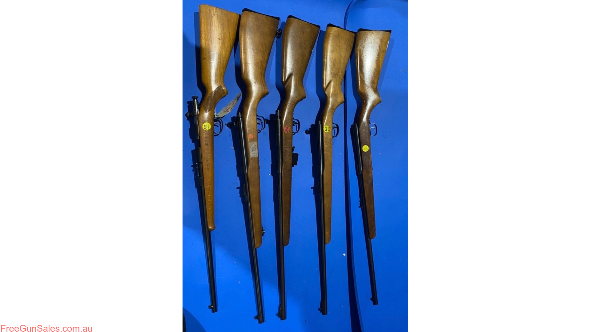 COLLECTION WINCHESTER BRNO Adelaide