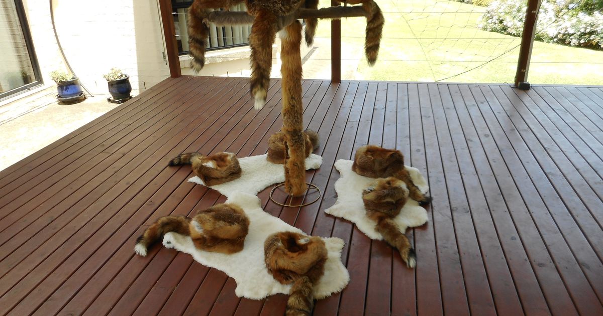 Quality fox hats for sale