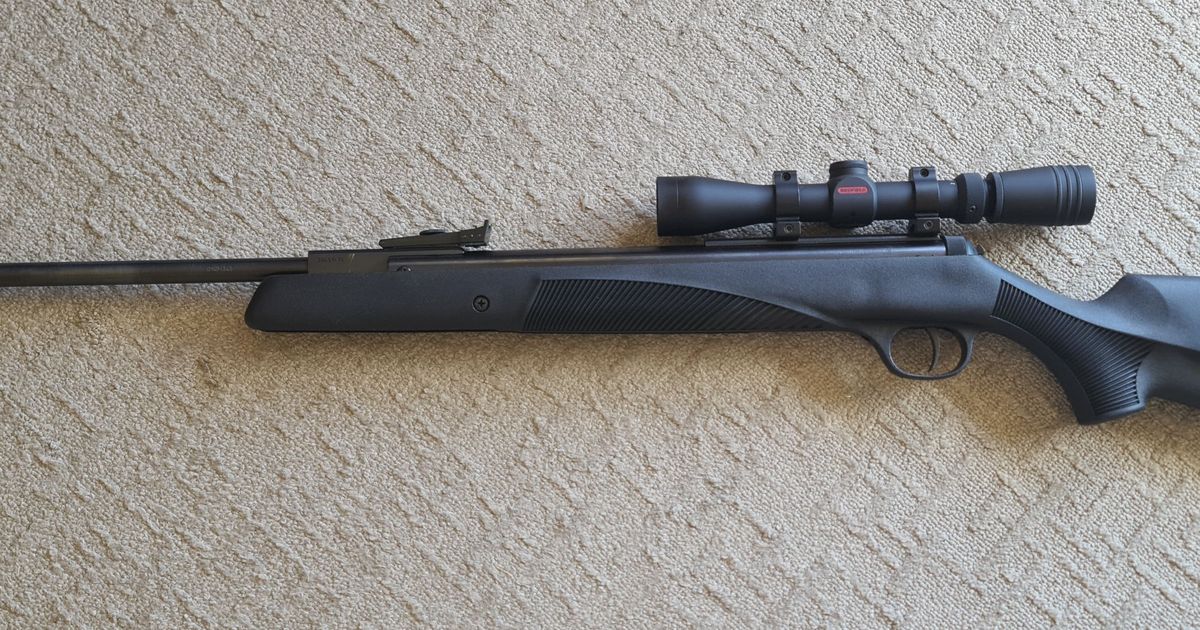 Diana Panther 31