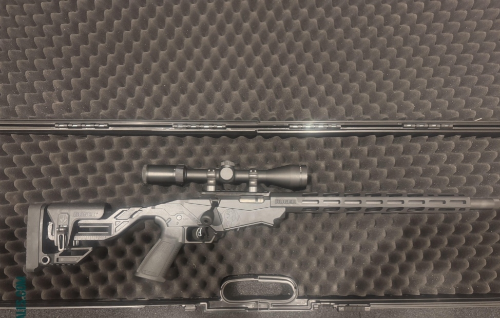 Ruger Precision .22LR