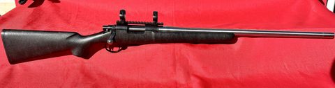 Remington 700 in 244 Ackley Improved , 26 inch fluted stainless heavy barrel by PSECO. HS Precision stock. Comes with Redding competition die set and 50 fire fo