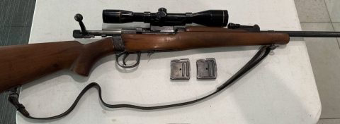 Lithgow SAF Slazenger Model 24 .22 Hornet. Two 5 round magazines. 25‚Äö√Ñ√∂‚àö√ë‚àöœÄ barrel. Includes scope mount & Nikko Sterling 4x40 scope. Great condition 