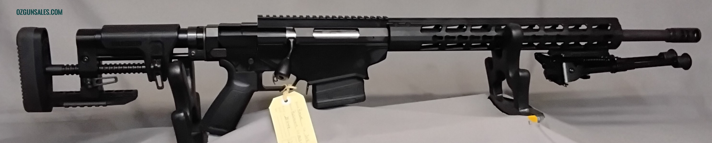 Ruger Precision .308
