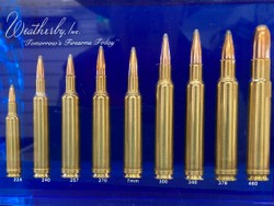 Weatherby Inc Cartridge Display. From .224 - .460 calibers. Sealed in epoxy resin.