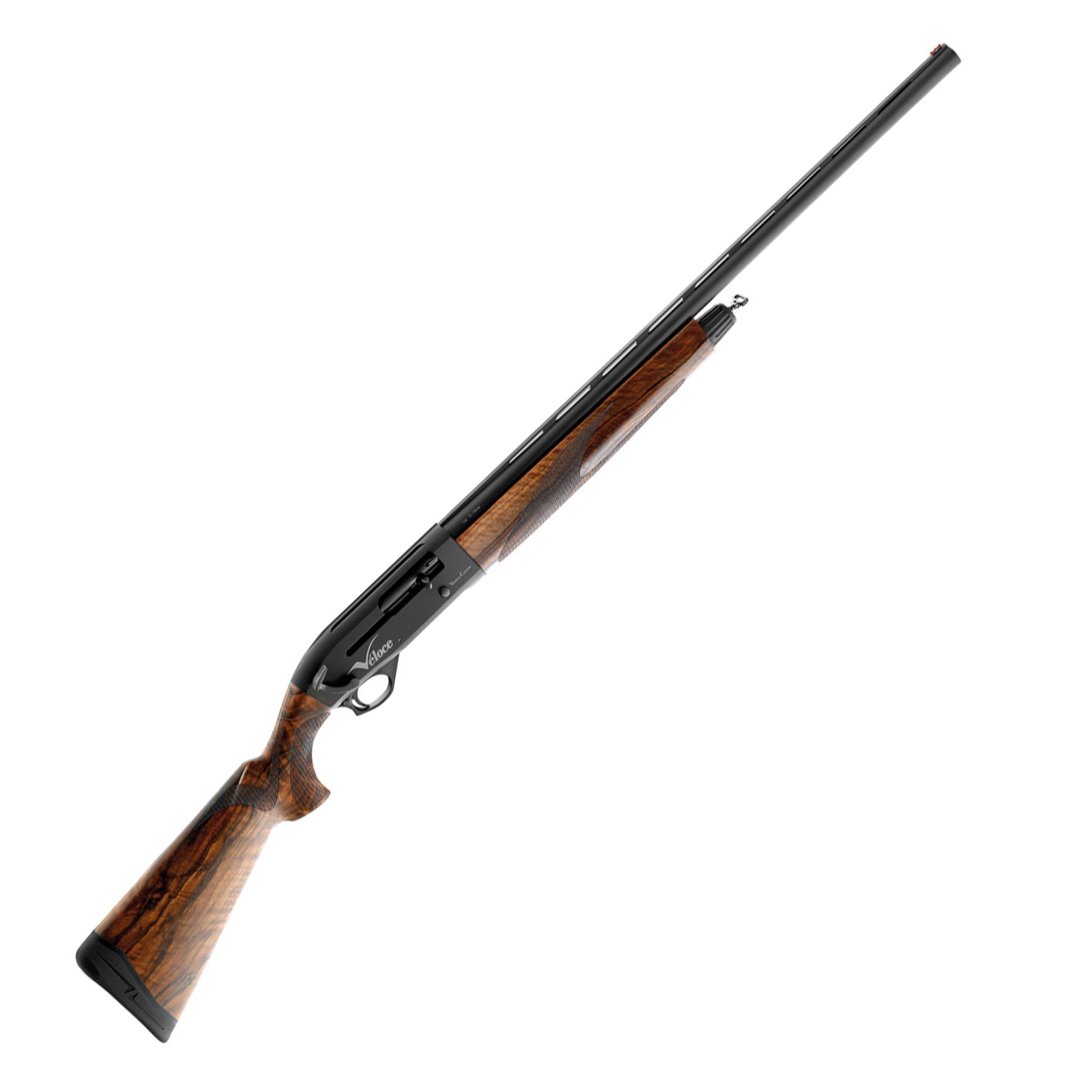 Veloce Walnut