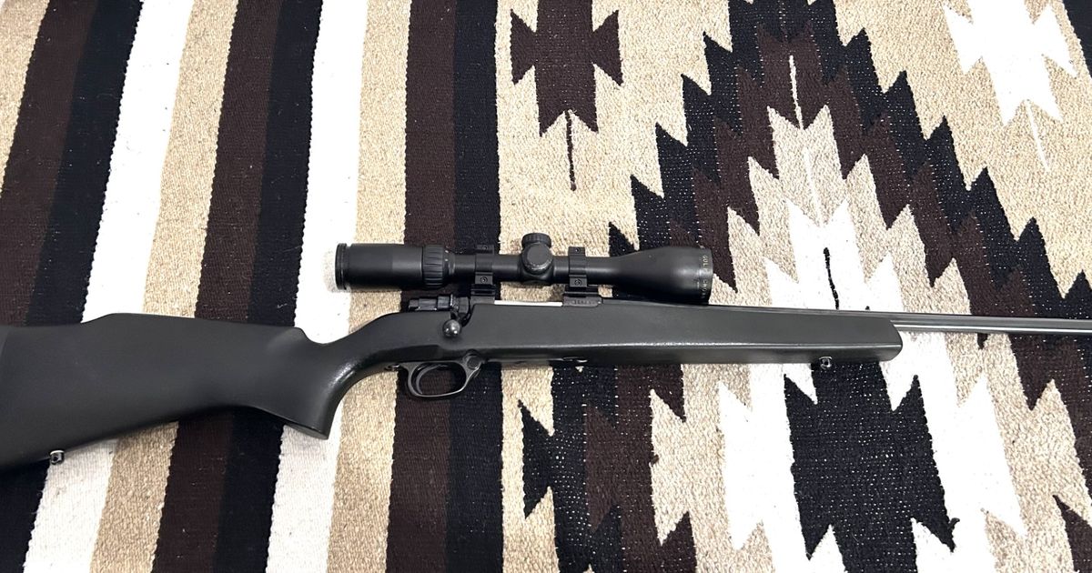 Zastava 85 .22/250