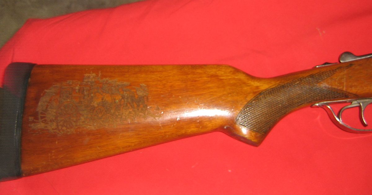 shotgun clean out, 310 martiti cadet and combination 20 g / 22 hornet.