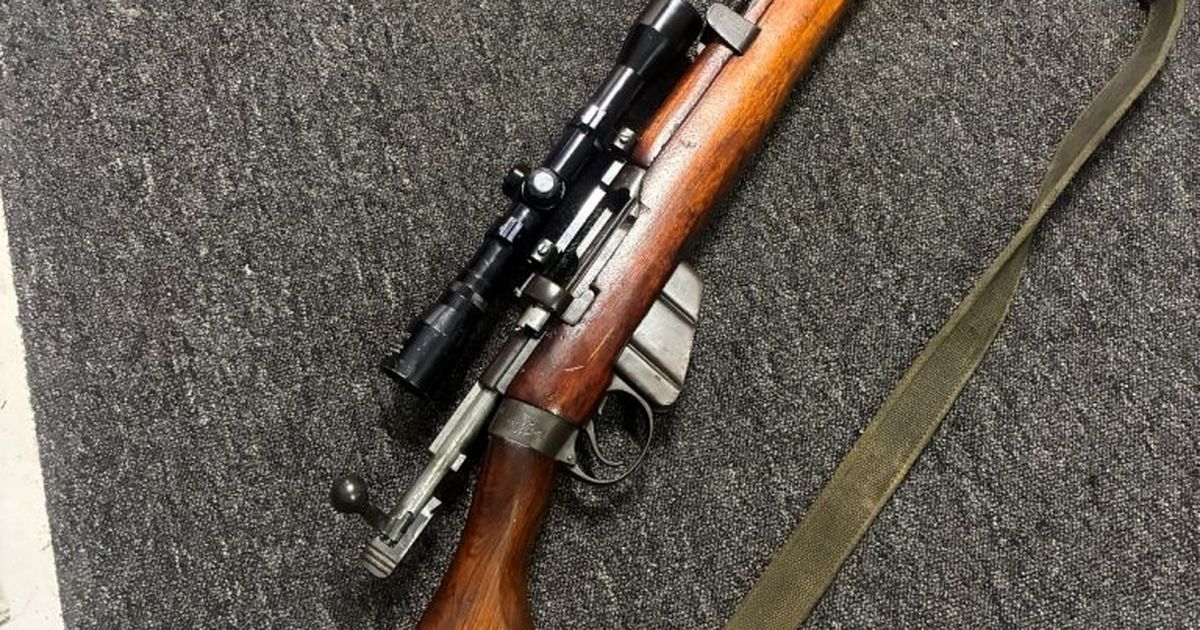 Scoped 303 sporteised