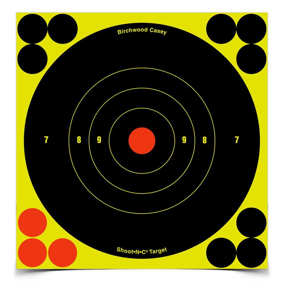 BIRCHWOOD & CASEY B16-60 6 SNC TARGET PK 60