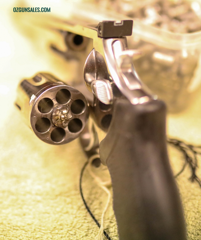 Taurus 66 Stainlesss Steel Shot .357 Mag