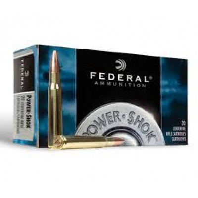 Federal .303 Power-Shok 180gr 20Pk