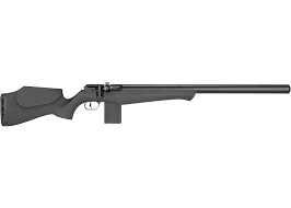 FX DRS .25 STANDARD SYNTHETIC 700MM BARREL