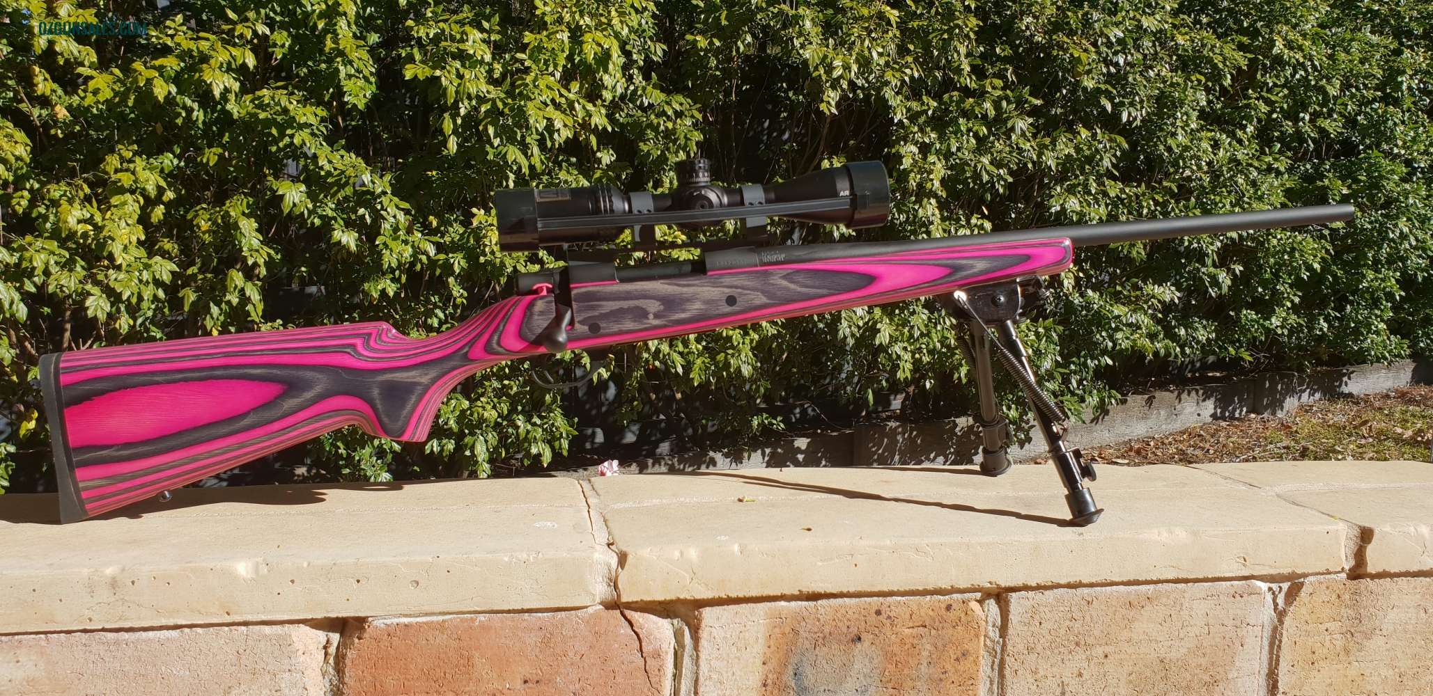Howa Mini 1500 .223