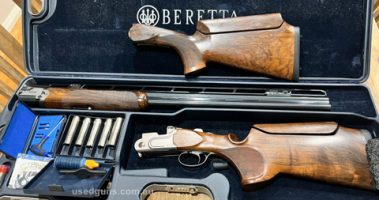 1 year old, comes with everything as well as a Custom Camilleri stock, and original Beretta stock with adjustable comb