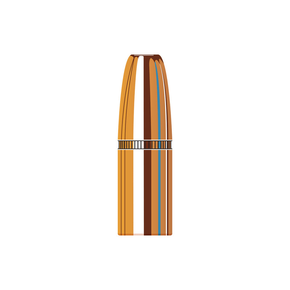 416 Cal (.416 Diameter) Dgs 400gr Projectiles