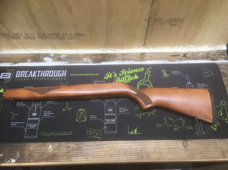 Ruger 10/22 timber stock