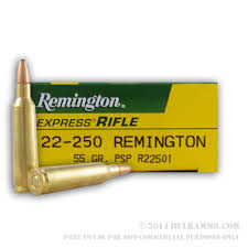Remington .22-250 PSP 55gr 20pk