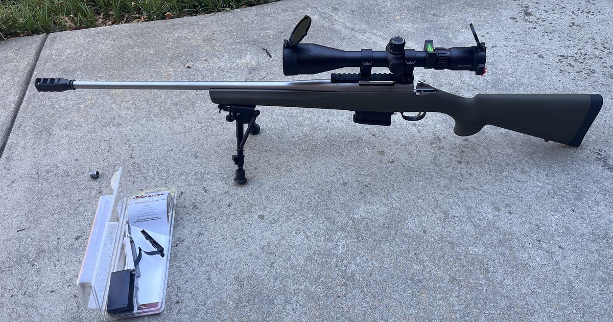 Howa 1500 .308