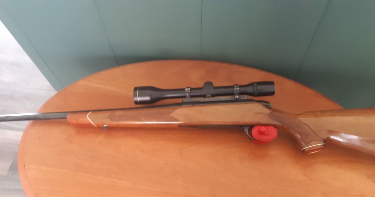 17 remington BSA