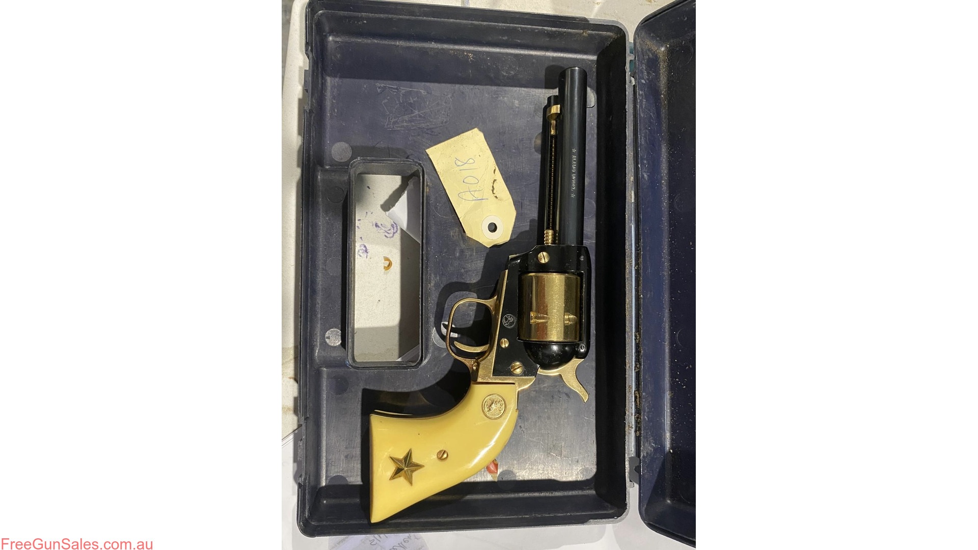 Colt Alamo Adelaide
