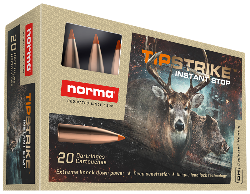 NORMA TIPSTRIKE 270 WIN 140G BT
