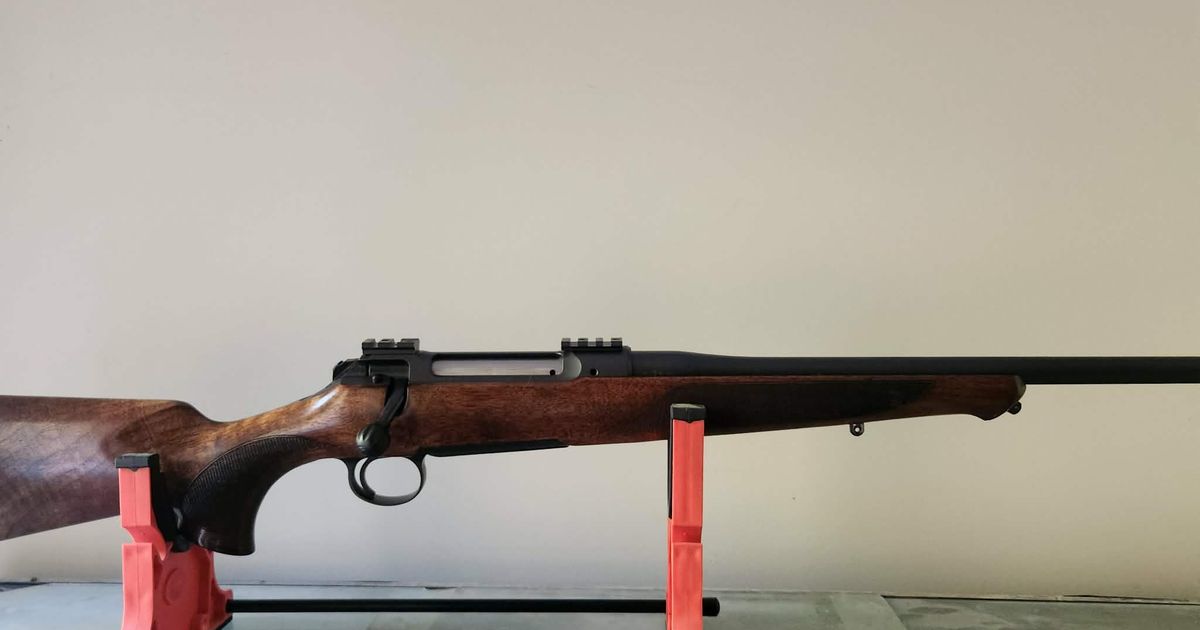 Sauer 22 250