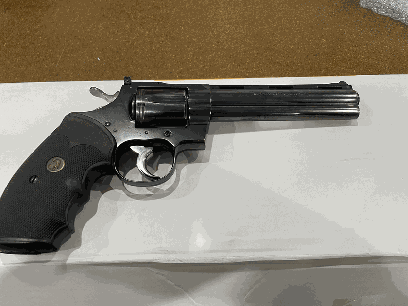6 inch COLT PYTHON