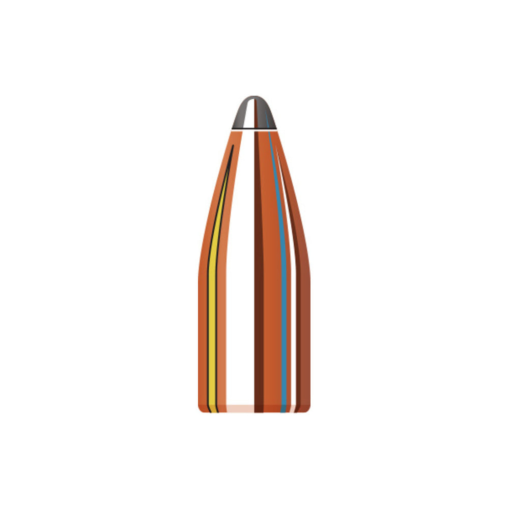 22 Cal (.224 Diameter) Ht 45gr Projectiles