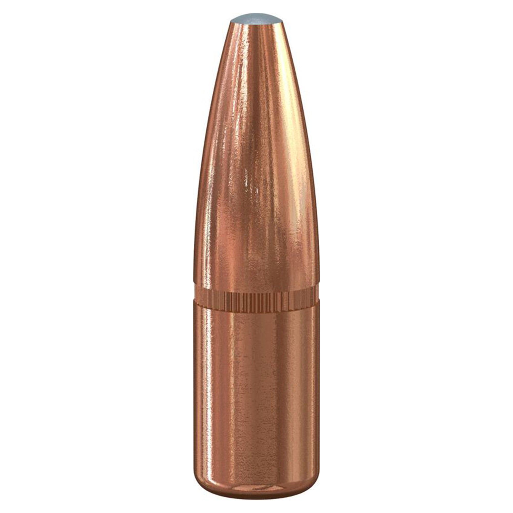 308 180gr grand Slam