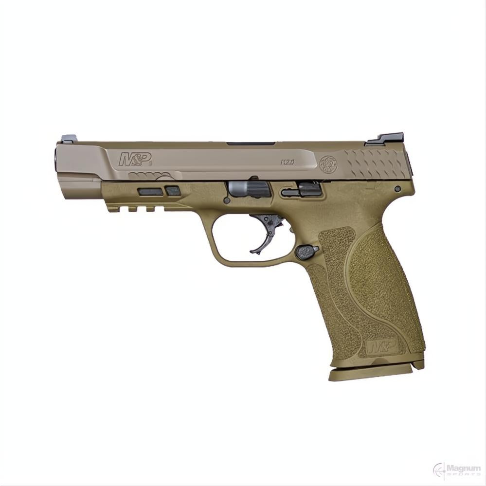 Smith & Wesson M&P 2.0 Dark Earth