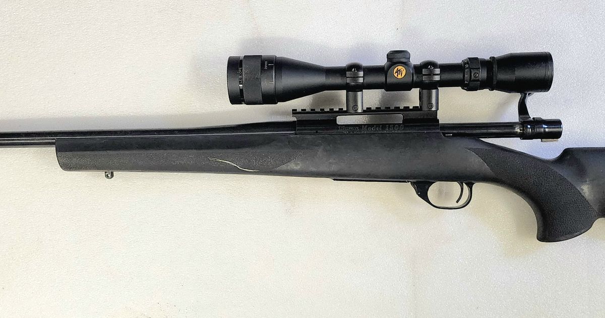 Howa 1500 223