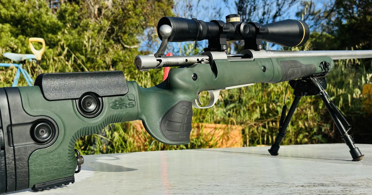 Howa 1500 .243
