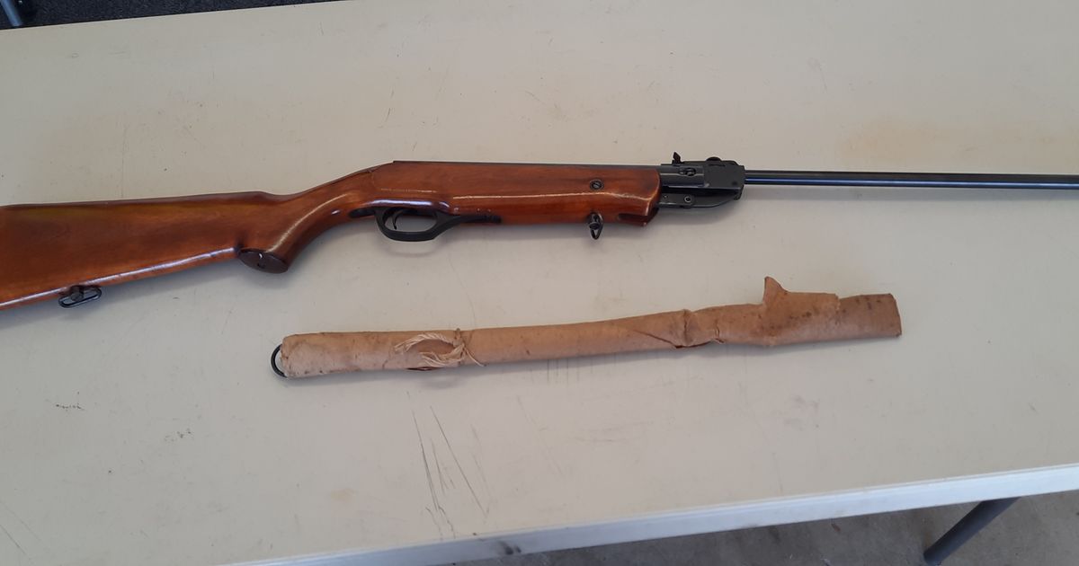 Vostok Air Rifle
