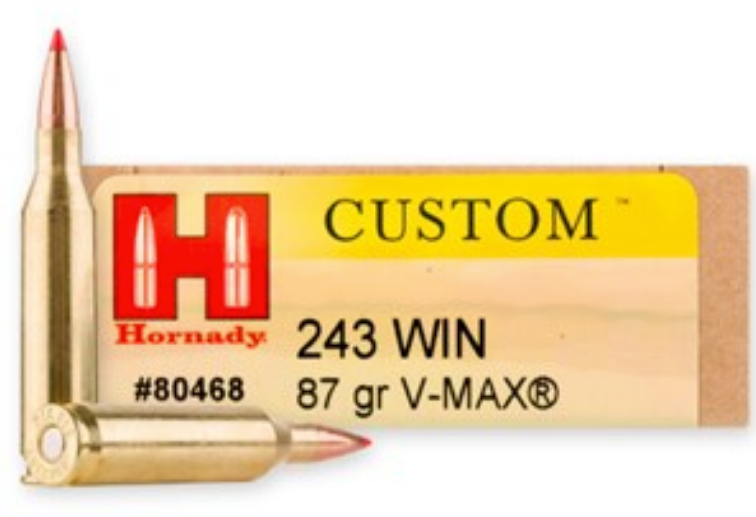 HORNADY CUSTOM 243WIN, 87GR, VMAX POLYMER TIP