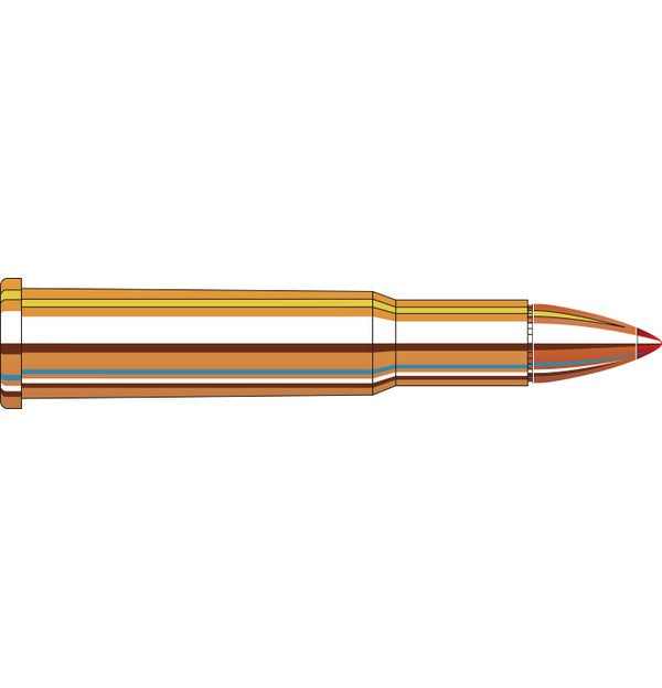 HORNADY 30-30 WIN 160GR FTX LEVERevolution