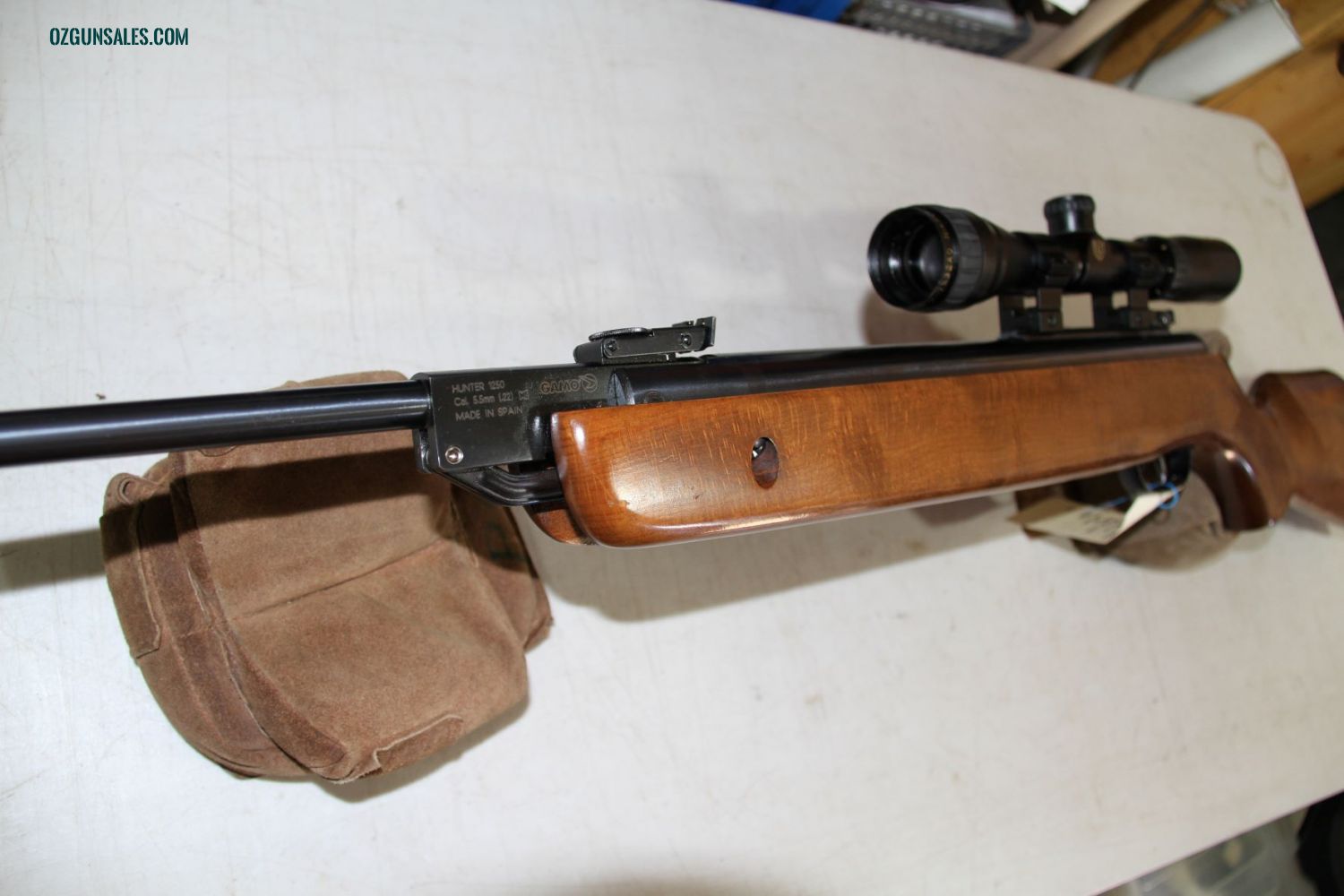 GAMO HUNTER1250 .22