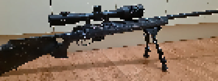 Cz 17 Hornet Varmint¬†
