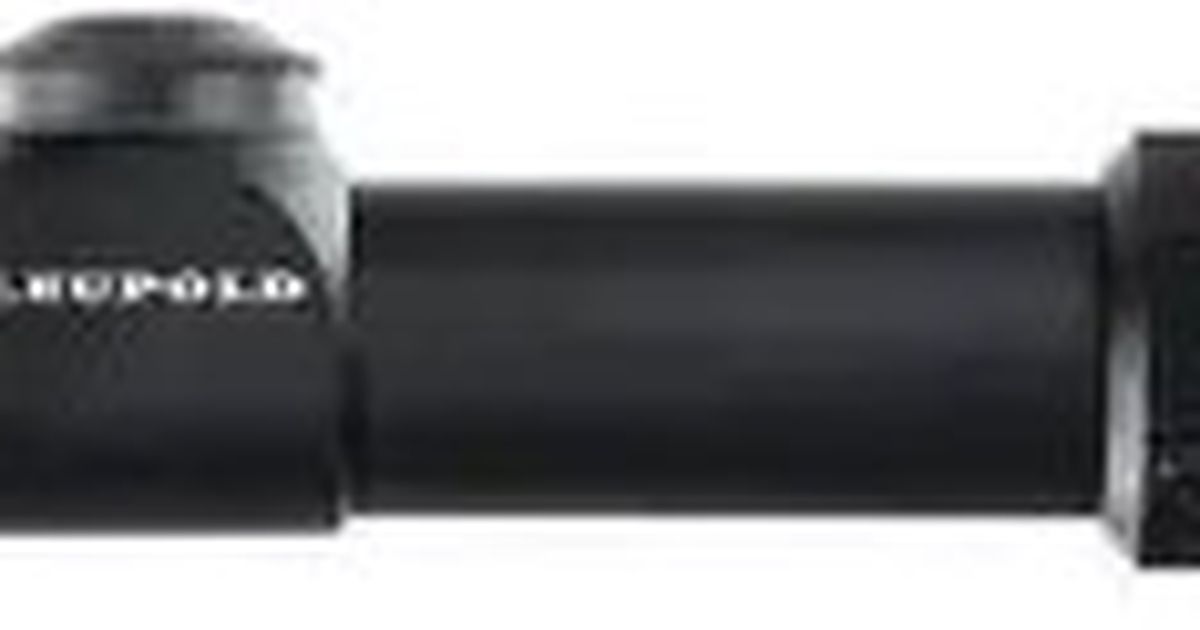 Leupold 1-4x20 scope