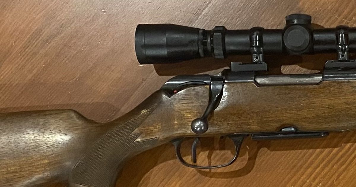 Krico 22-250 Remington